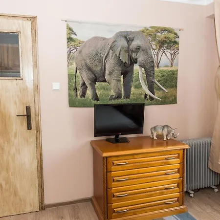 Elevating Moments Apartment